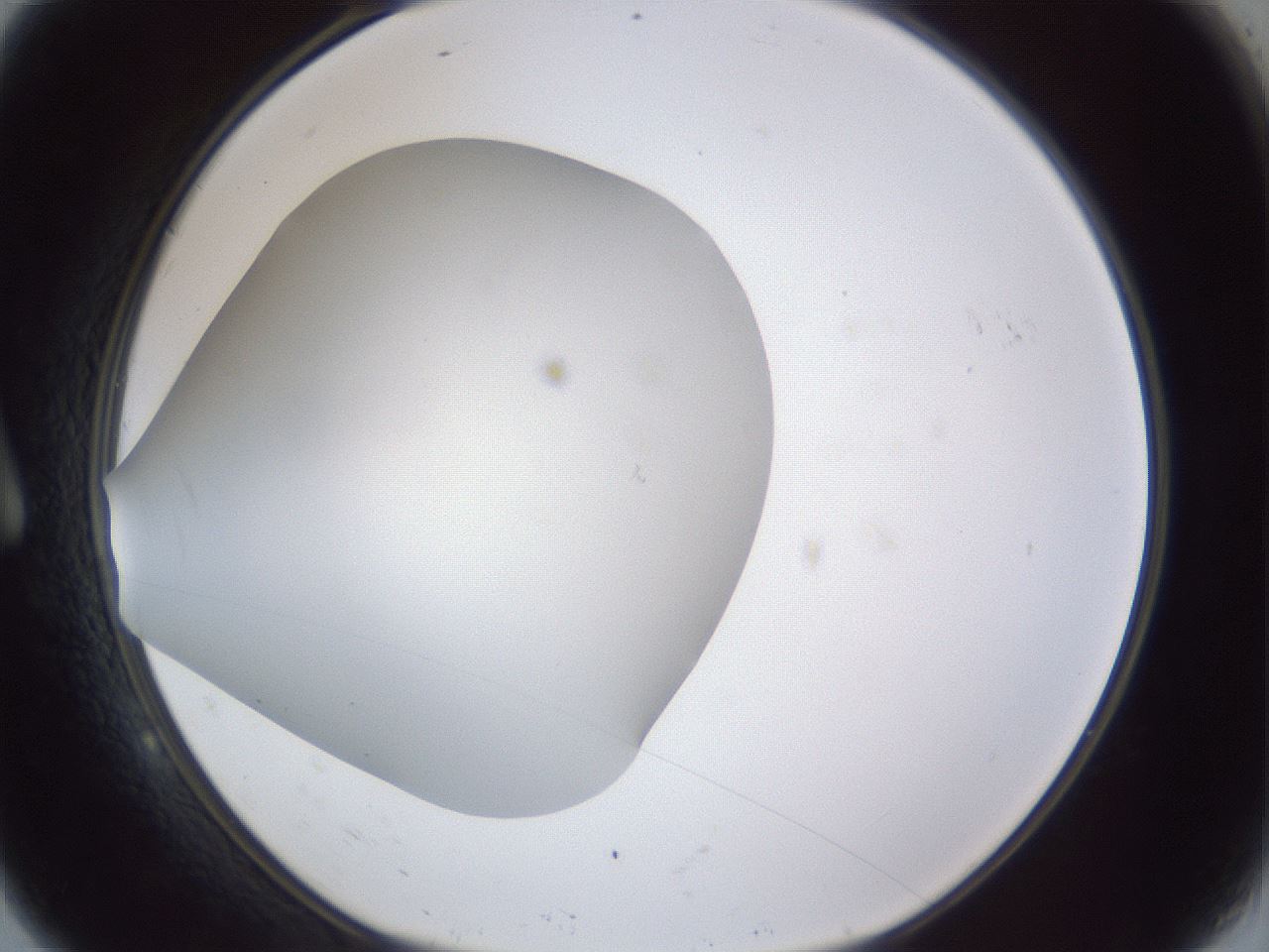 folderID30_plateID1030_batchID1981_wellNum9_profileID1_d1_r44724_ef.jpg