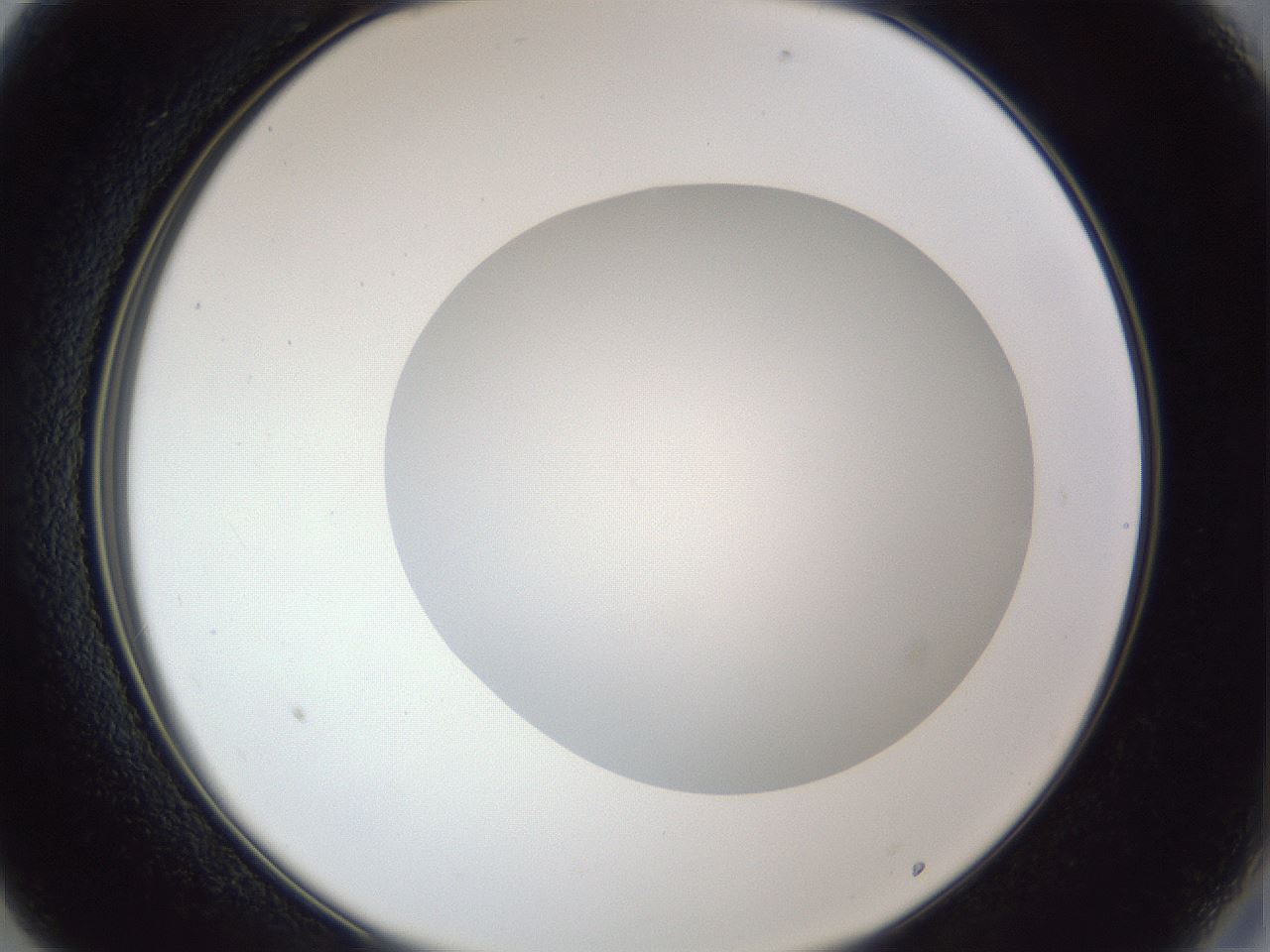 folderID30_plateID1030_batchID2019_wellNum13_profileID1_d2_r44733_ef.jpg