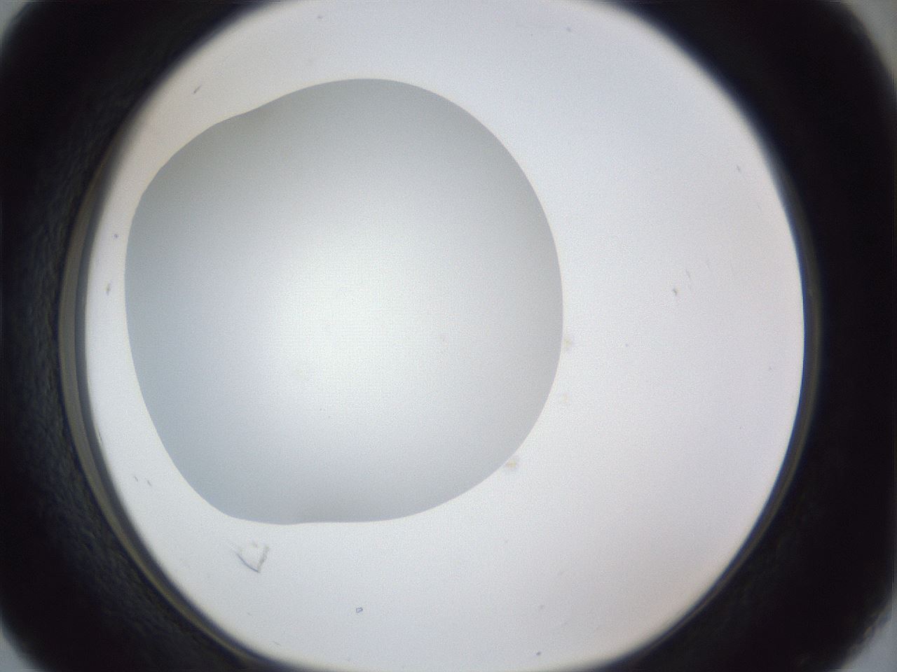folderID30_plateID1030_batchID2019_wellNum16_profileID1_d1_r44738_ef.jpg