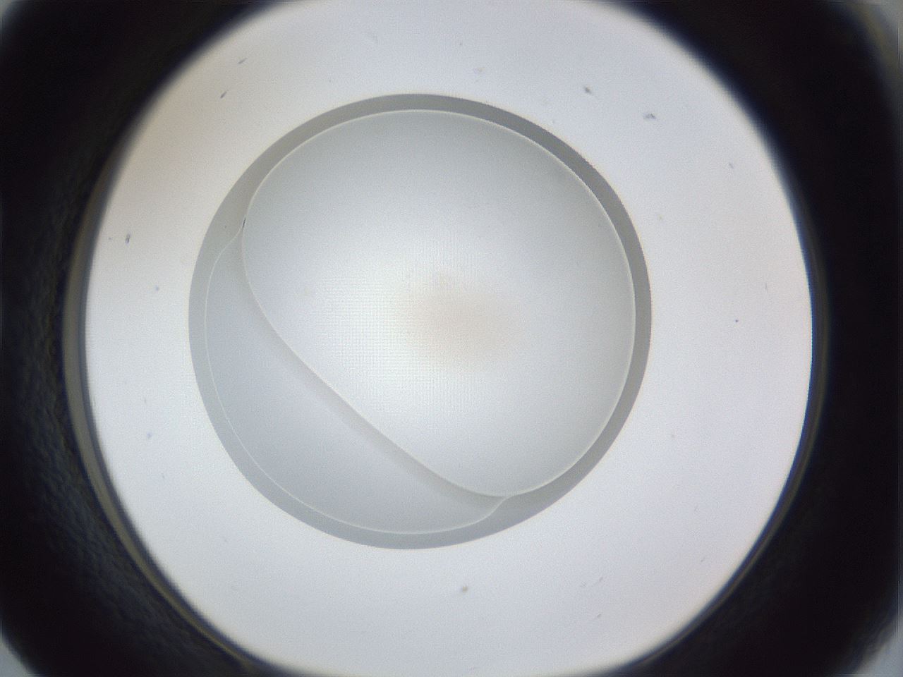 folderID30_plateID1030_batchID2019_wellNum17_profileID1_d1_r44740_ef.jpg