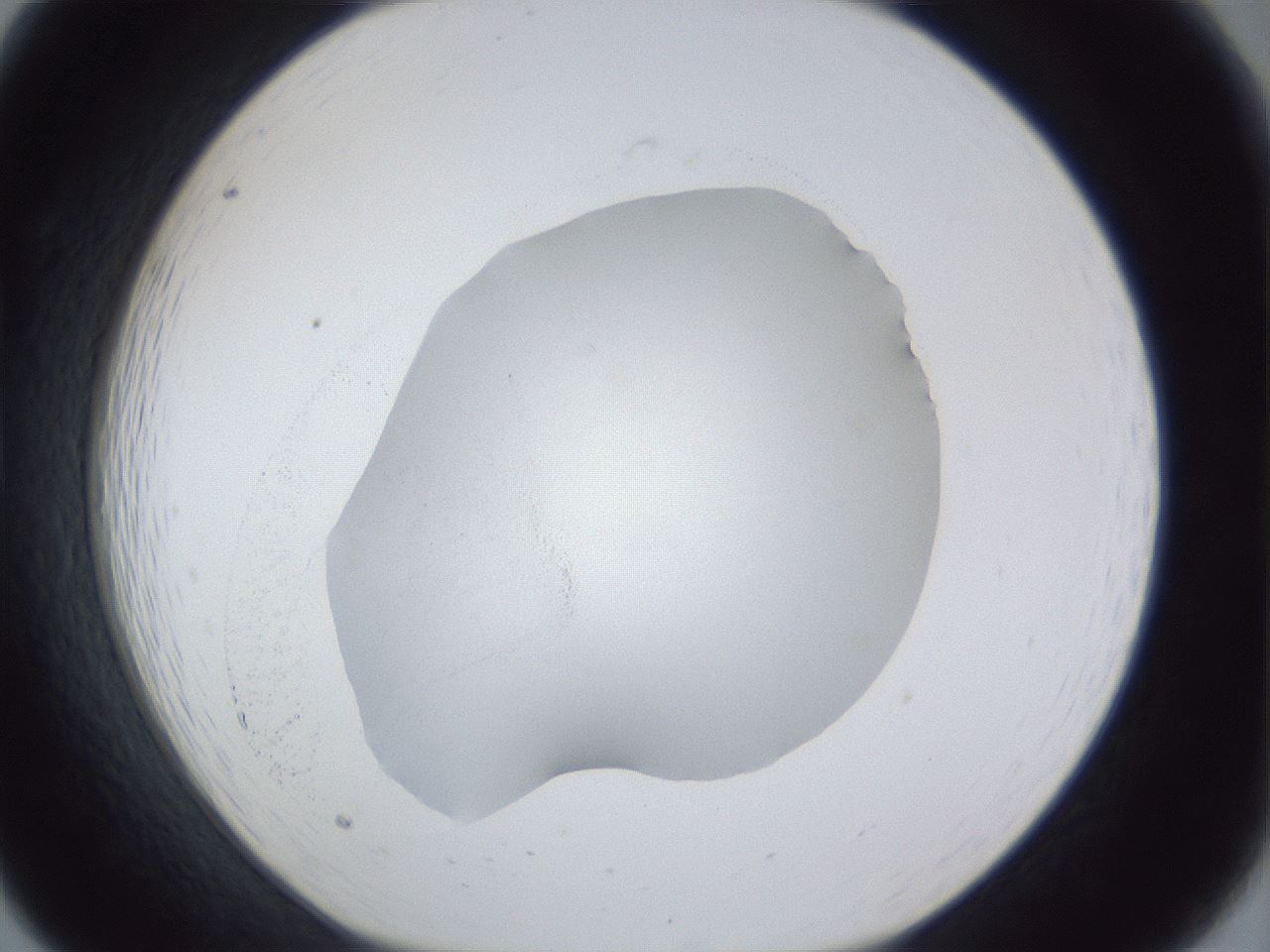 folderID30_plateID1030_batchID2019_wellNum19_profileID1_d1_r44744_ef.jpg