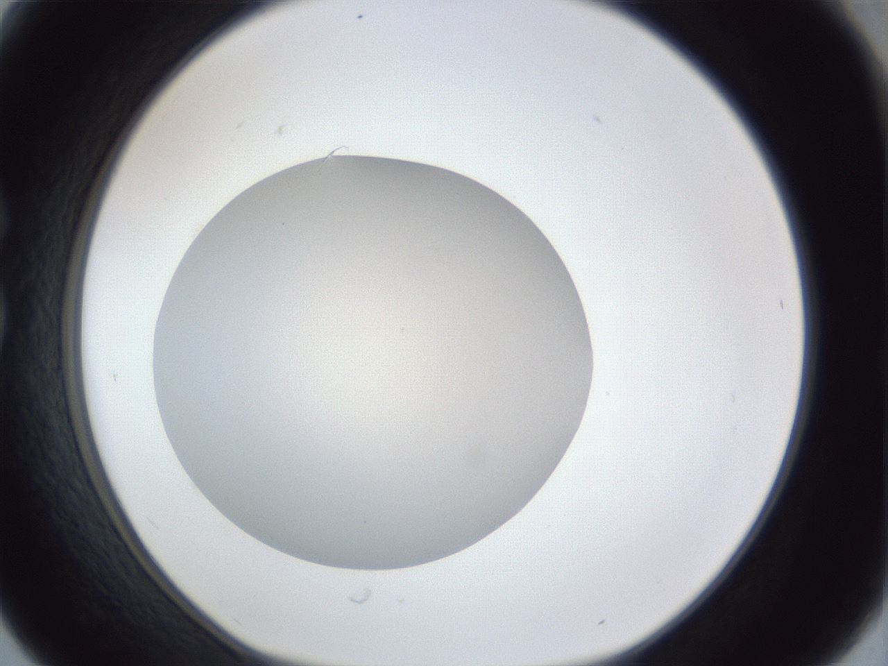 folderID30_plateID1030_batchID2019_wellNum30_profileID1_d1_r44766_ef.jpg