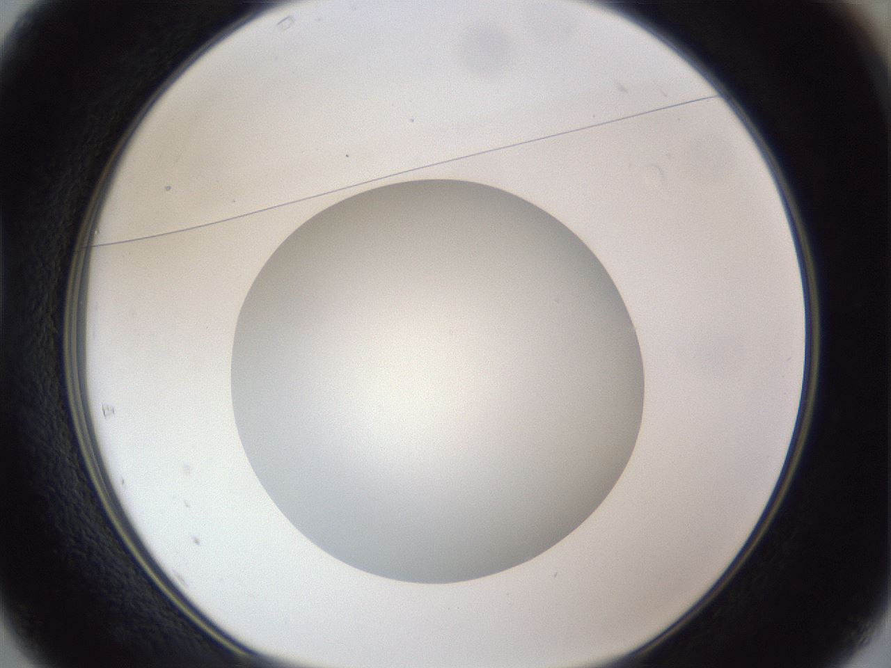 folderID30_plateID1030_batchID2019_wellNum37_profileID1_d1_r44780_ef.jpg