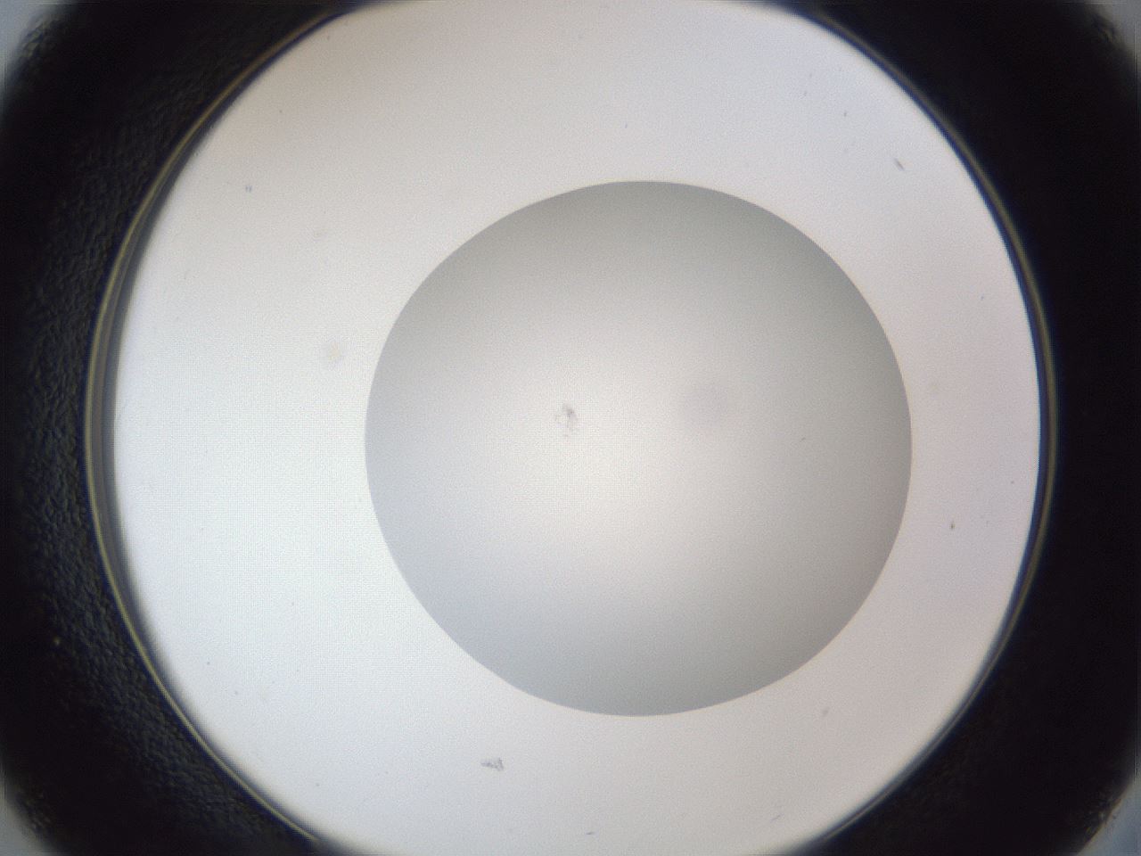 folderID30_plateID1030_batchID2019_wellNum37_profileID1_d2_r44781_ef.jpg