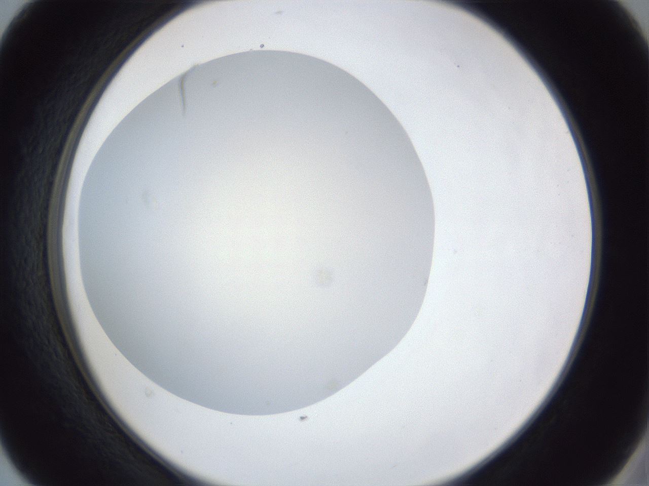 folderID30_plateID1030_batchID2019_wellNum40_profileID1_d2_r44787_ef.jpg