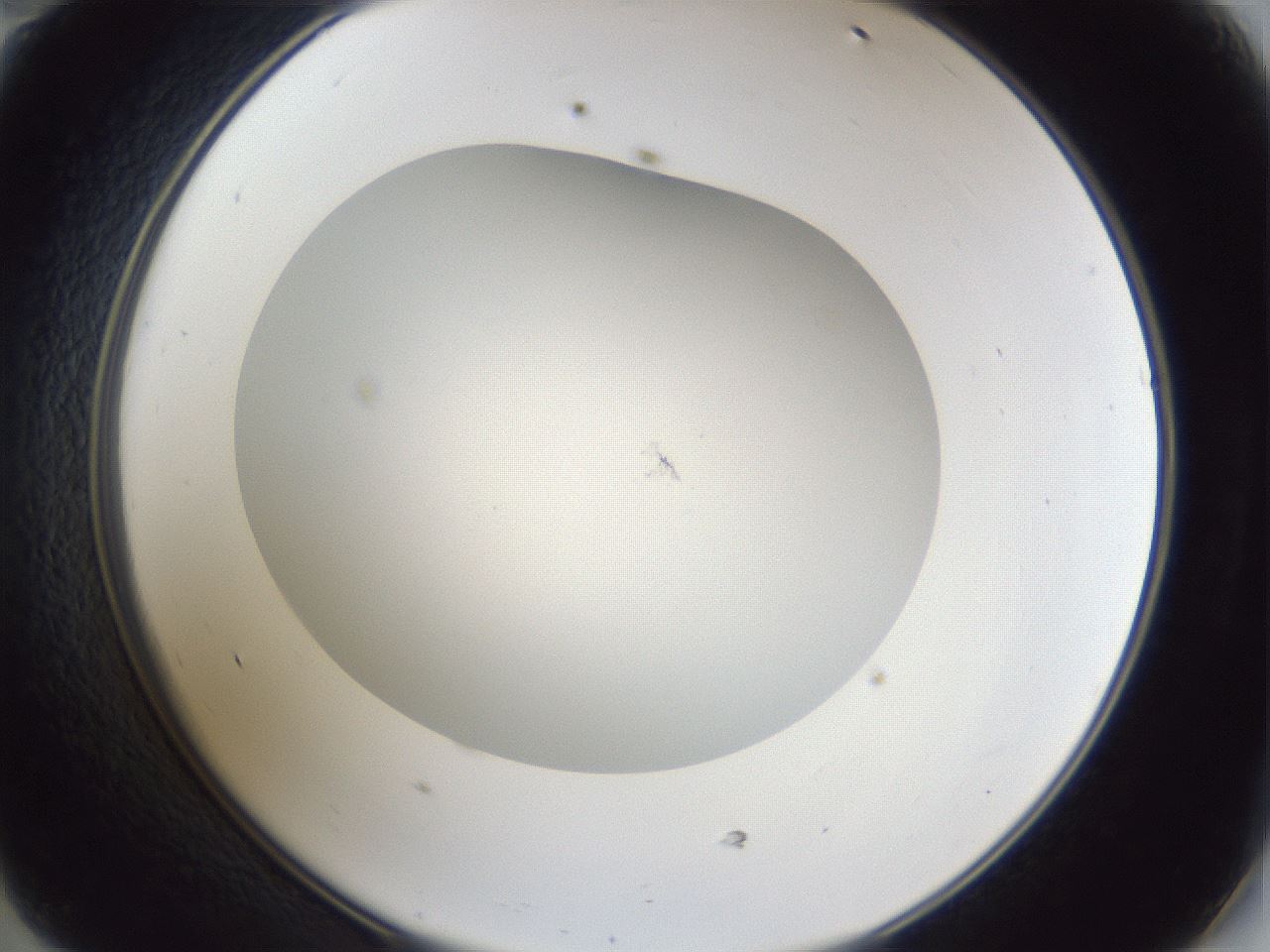 folderID30_plateID1030_batchID2019_wellNum47_profileID1_d2_r44801_ef.jpg