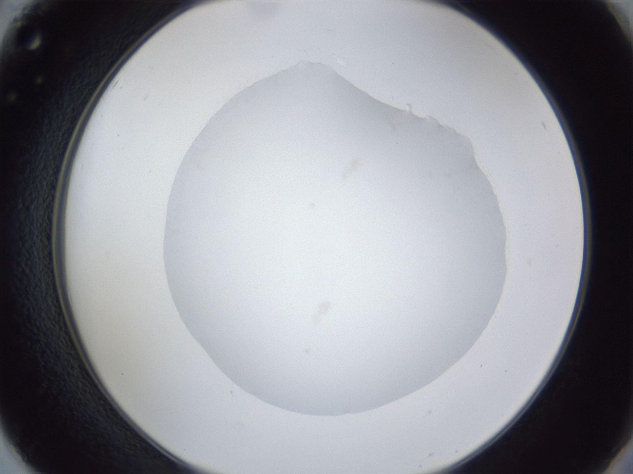 folderID30_plateID1030_batchID2019_wellNum50_profileID1_d2_r44807_ef.jpg