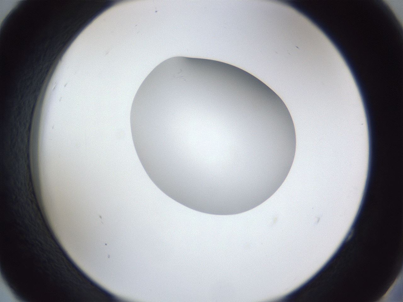 folderID30_plateID1030_batchID2019_wellNum52_profileID1_d2_r44811_ef.jpg