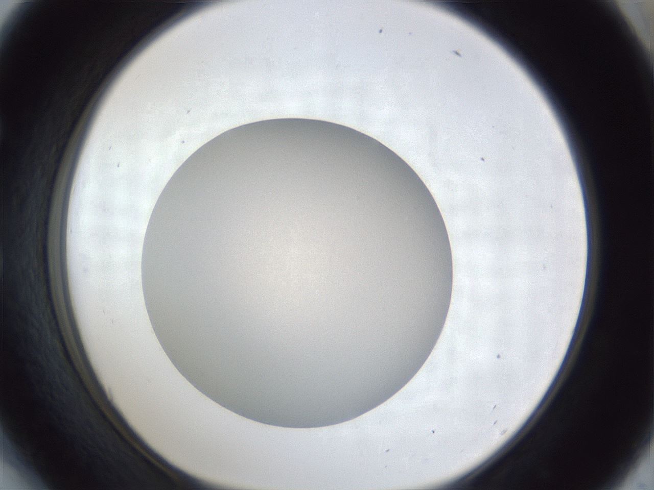 folderID30_plateID1030_batchID2019_wellNum54_profileID1_d1_r44814_ef.jpg