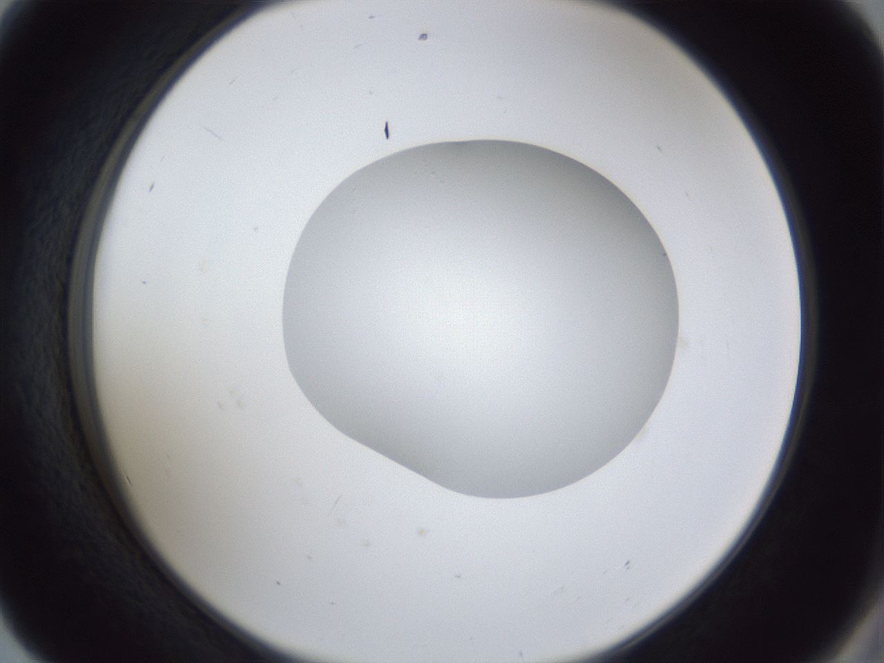 folderID30_plateID1030_batchID2019_wellNum56_profileID1_d2_r44819_ef.jpg