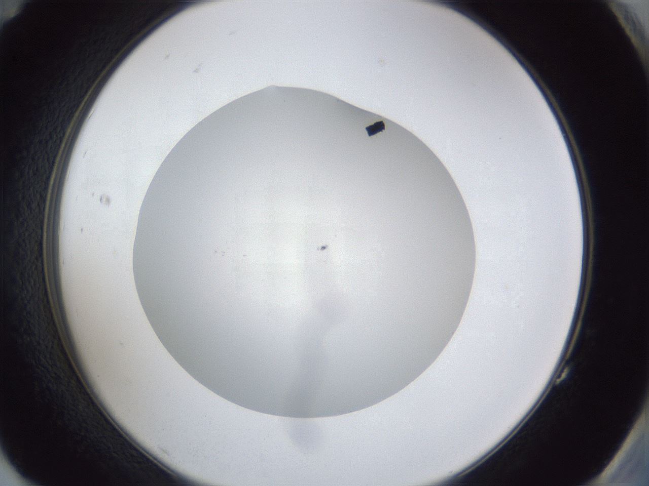 folderID30_plateID1030_batchID2019_wellNum83_profileID1_d2_r44873_ef.jpg