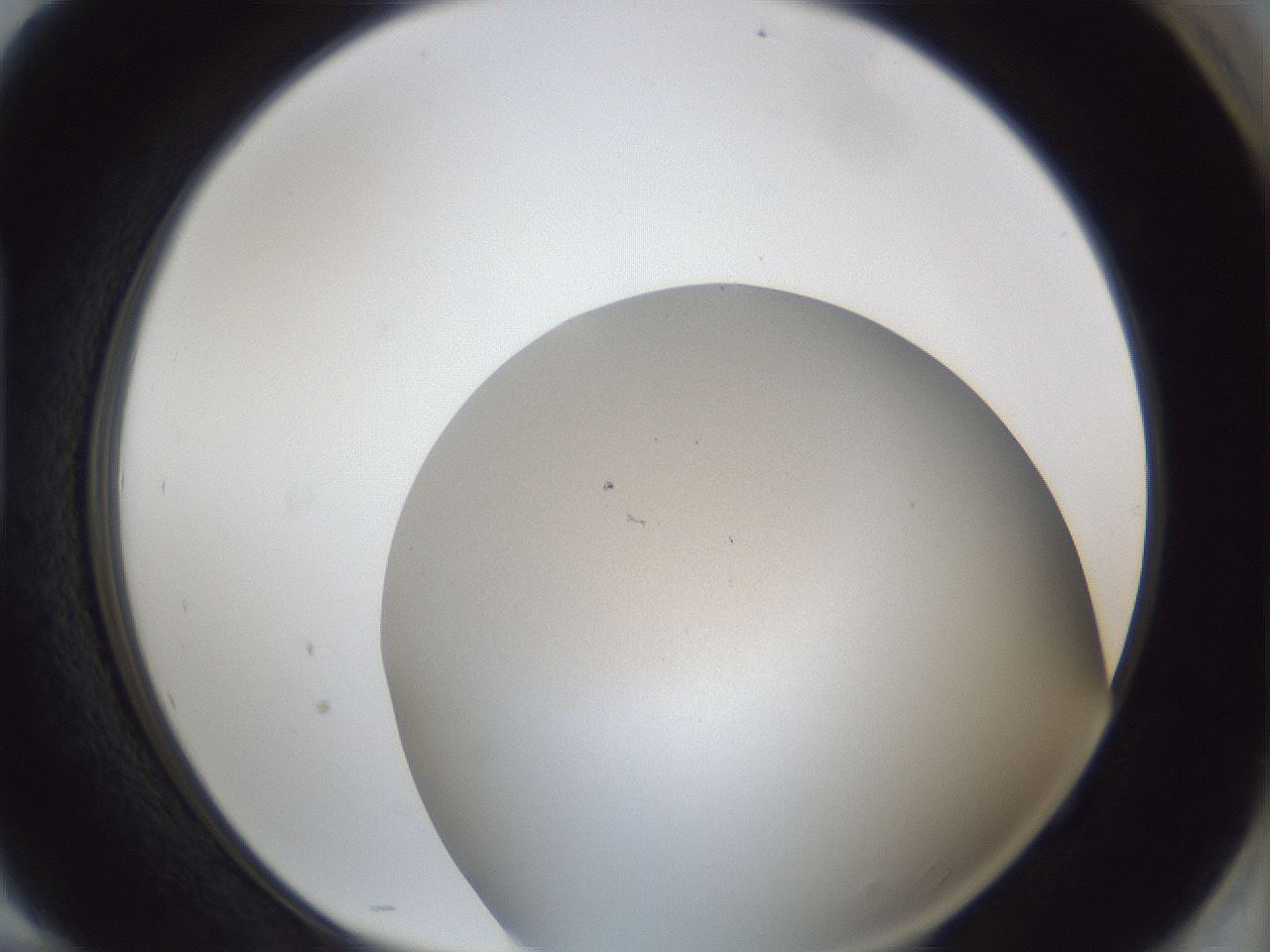 folderID30_plateID1030_batchID2019_wellNum94_profileID1_d1_r44894_ef.jpg