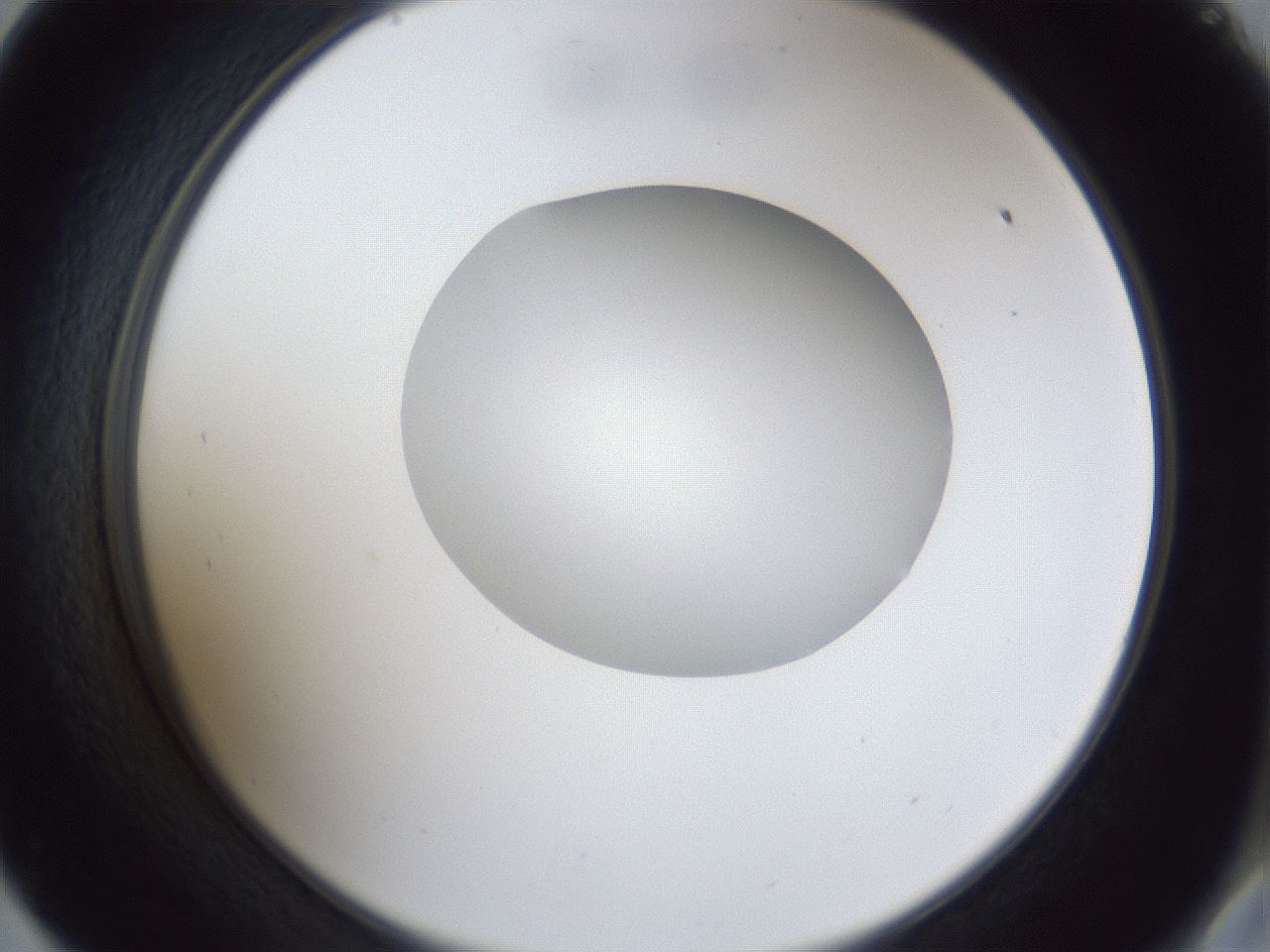 folderID30_plateID1030_batchID2019_wellNum57_profileID1_d2_r44821_ef.jpg