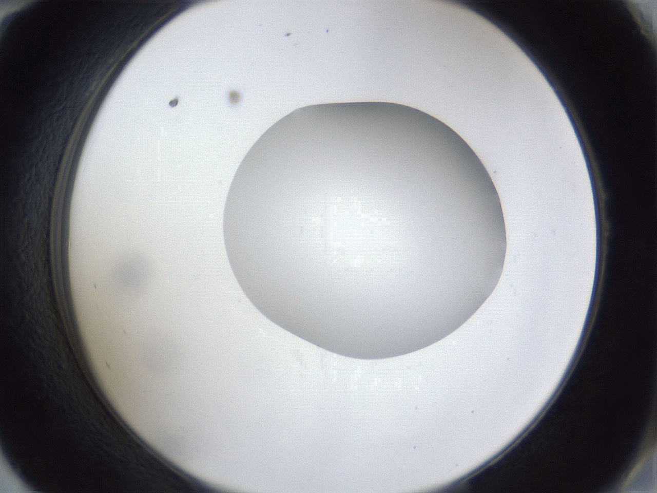 folderID30_plateID1030_batchID2019_wellNum58_profileID1_d2_r44823_ef.jpg