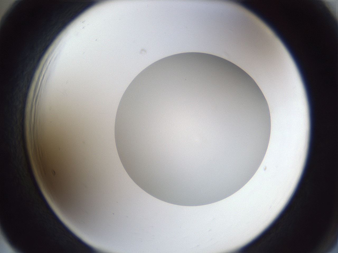 folderID30_plateID1030_batchID2019_wellNum65_profileID1_d2_r44837_ef.jpg