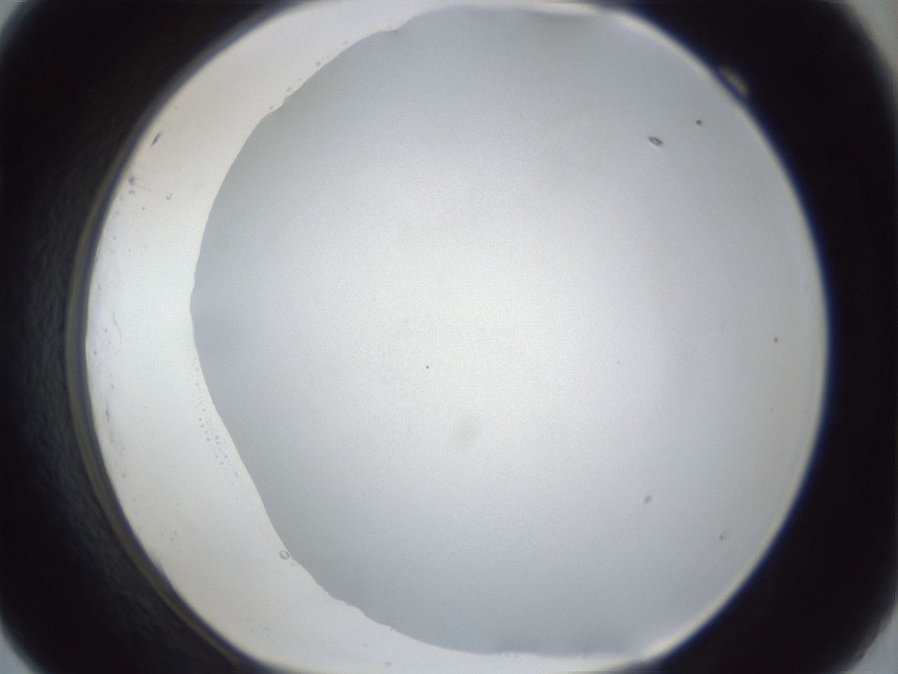 folderID30_plateID1030_batchID2019_wellNum69_profileID1_d1_r44844_ef.jpg
