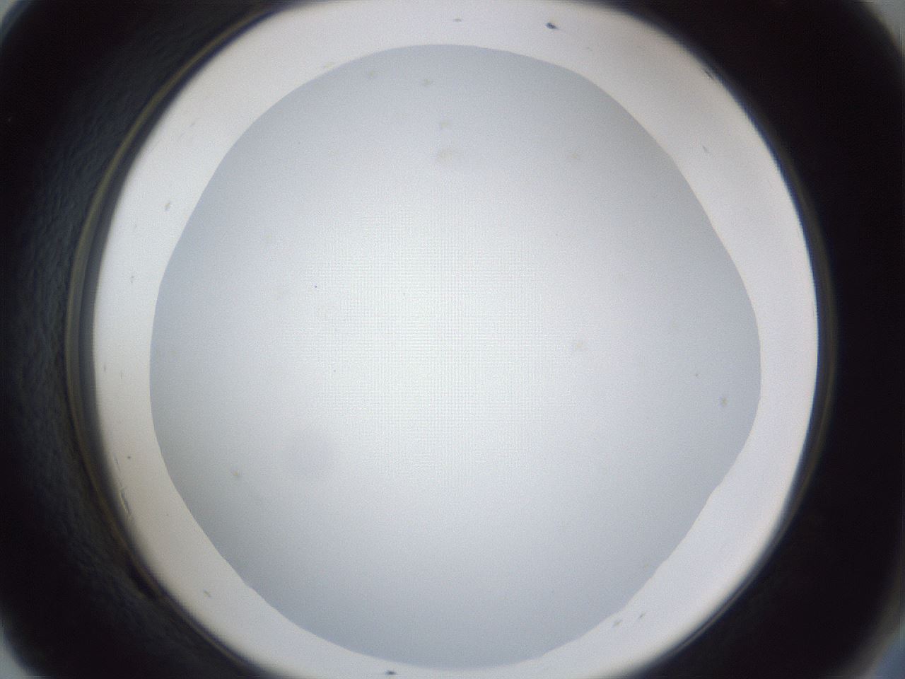 folderID30_plateID1030_batchID2019_wellNum69_profileID1_d2_r44845_ef.jpg