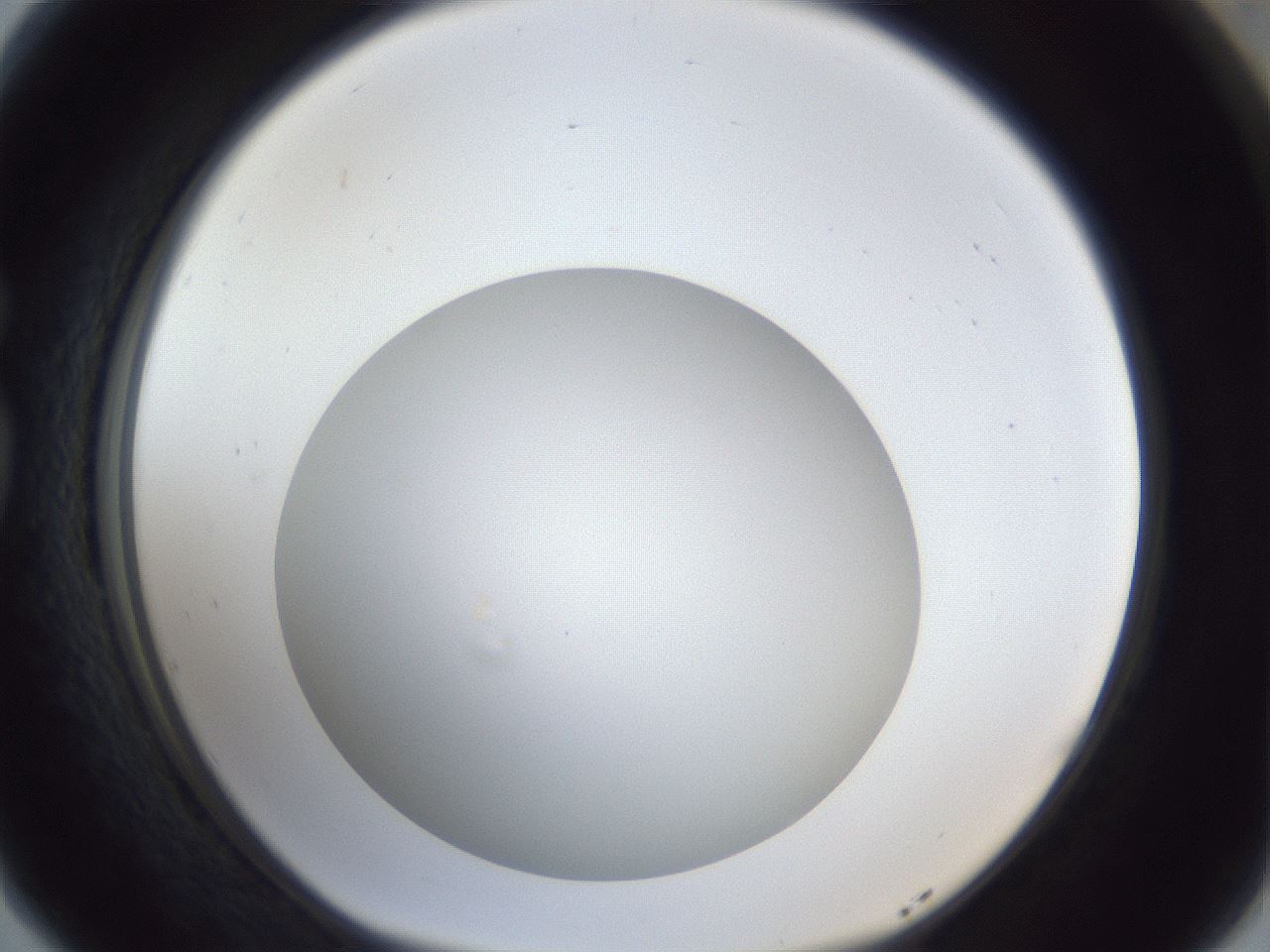 folderID30_plateID1030_batchID2019_wellNum77_profileID1_d1_r44860_ef.jpg