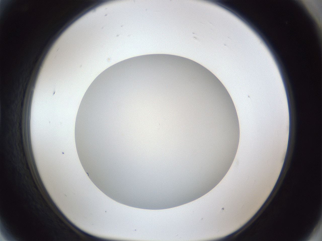 folderID30_plateID1030_batchID2019_wellNum81_profileID1_d1_r44868_ef.jpg