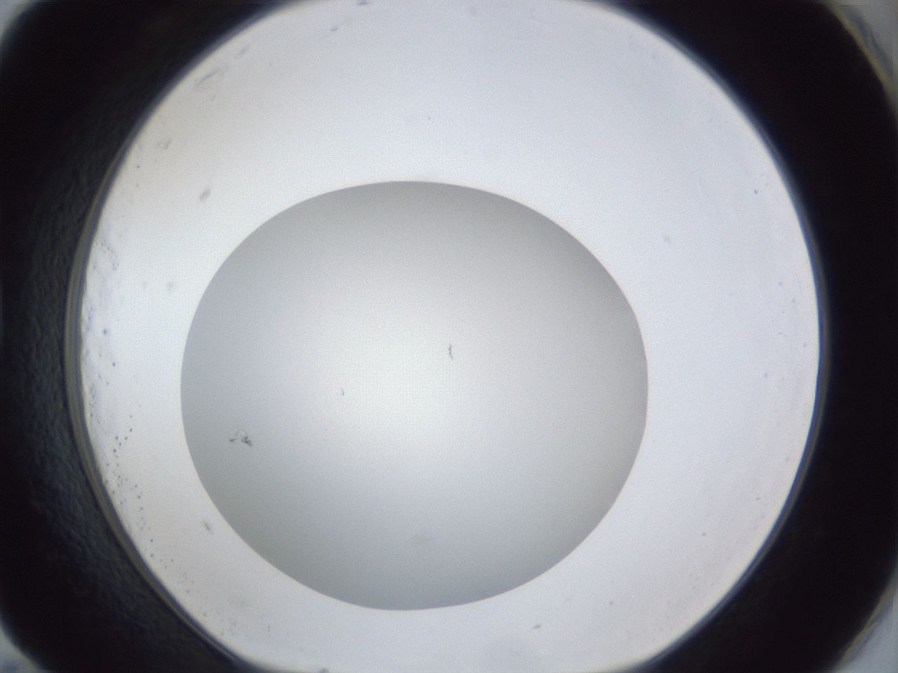 folderID30_plateID1030_batchID2019_wellNum83_profileID1_d1_r44872_ef.jpg