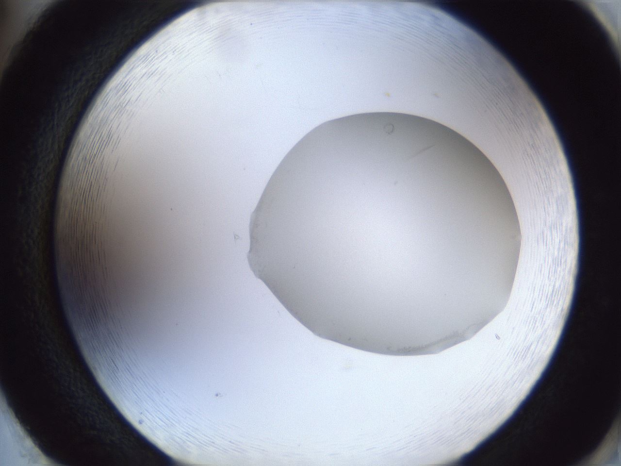folderID30_plateID1030_batchID2019_wellNum86_profileID1_d2_r44879_ef.jpg