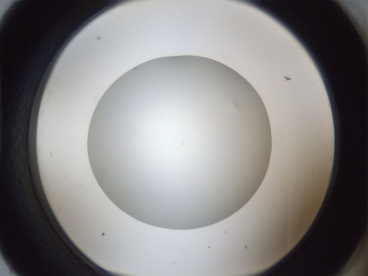 folderID30_plateID1030_batchID2019_wellNum93_profileID1_d1_r44892_ef.jpg