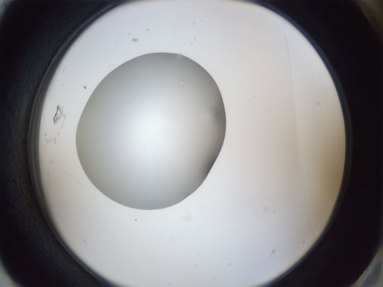 folderID30_plateID1030_batchID2019_wellNum93_profileID1_d2_r44893_ef.jpg