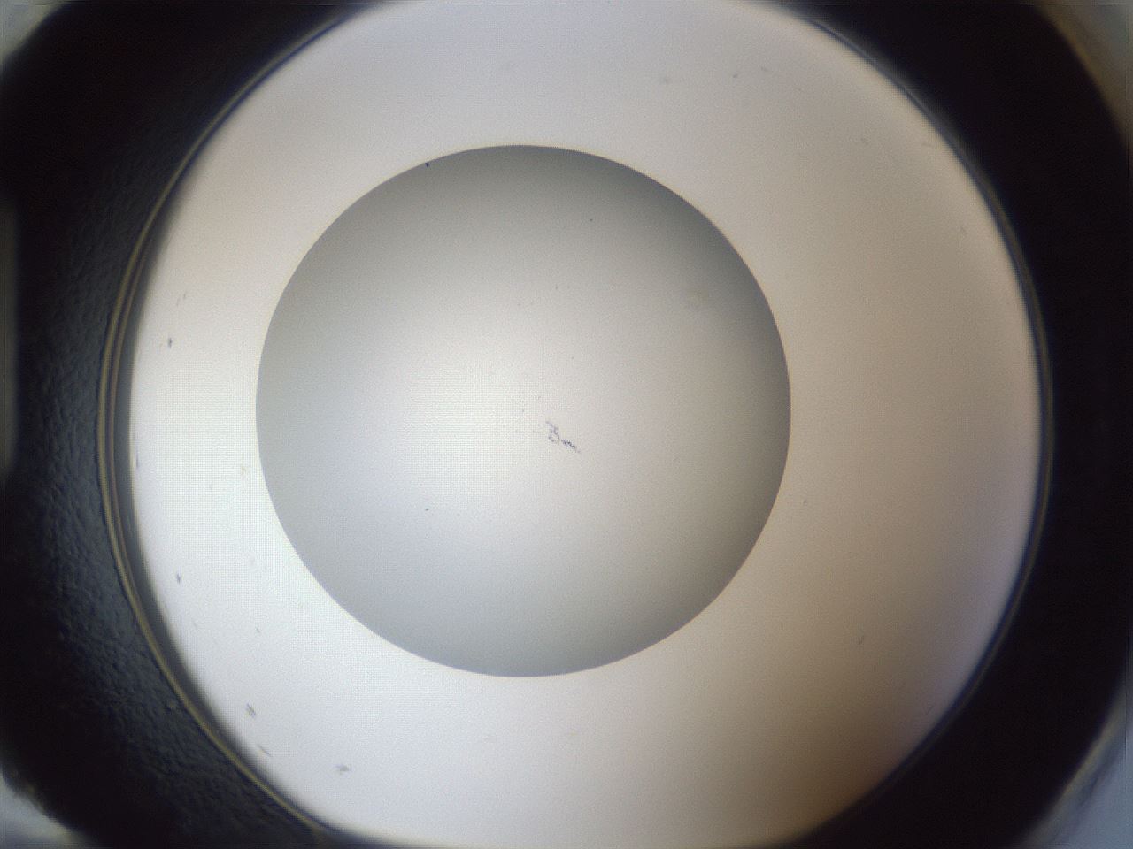 folderID30_plateID1030_batchID2019_wellNum96_profileID1_d1_r44898_ef.jpg