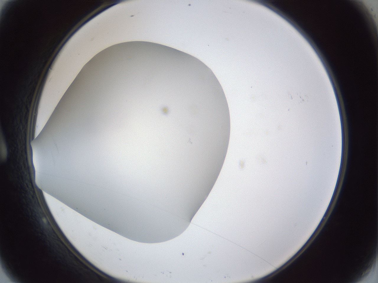 folderID30_plateID1030_batchID2019_wellNum9_profileID1_d1_r44724_ef.jpg