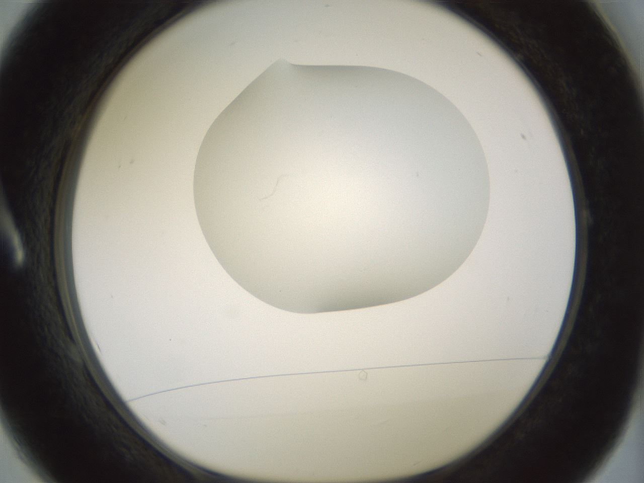folderID318_plateID1318_batchID4363_wellNum1_profileID1_d1_r79064_ef.jpg