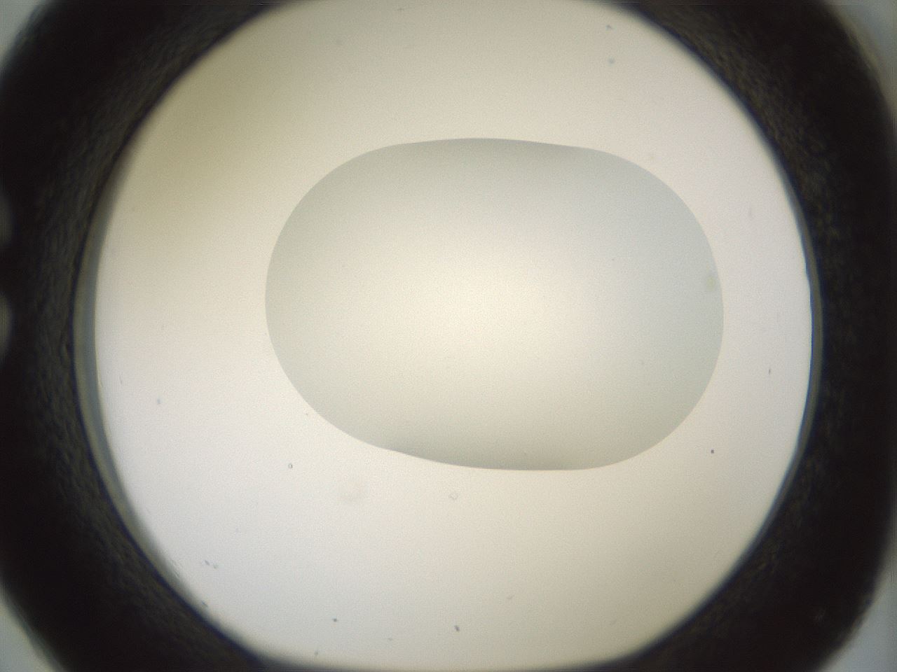 folderID318_plateID1318_batchID4363_wellNum26_profileID1_d1_r79089_ef.jpg