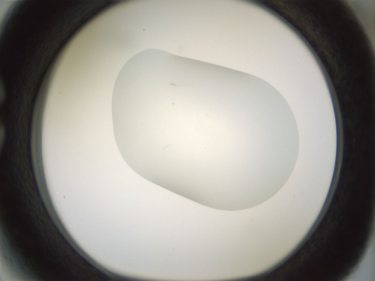folderID318_plateID1318_batchID4363_wellNum27_profileID1_d1_r79090_ef.jpg