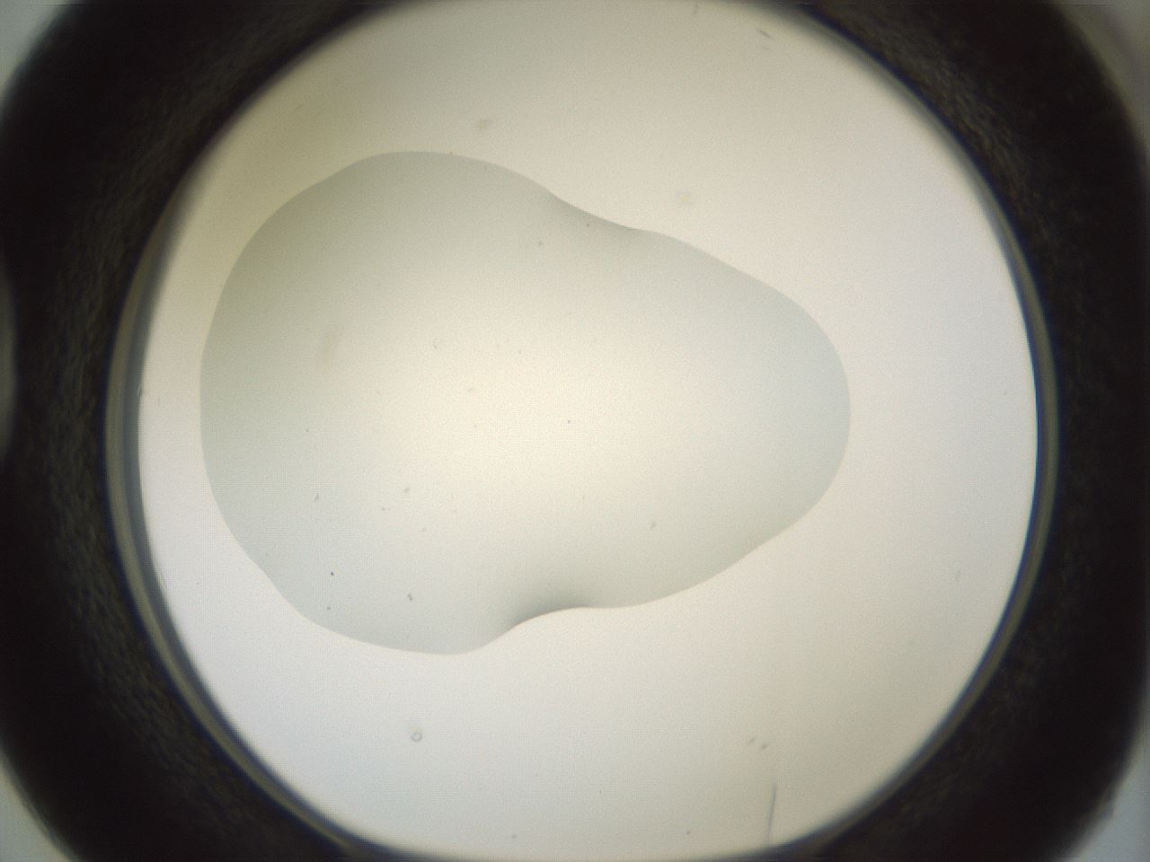 folderID318_plateID1318_batchID4363_wellNum38_profileID1_d1_r79101_ef.jpg