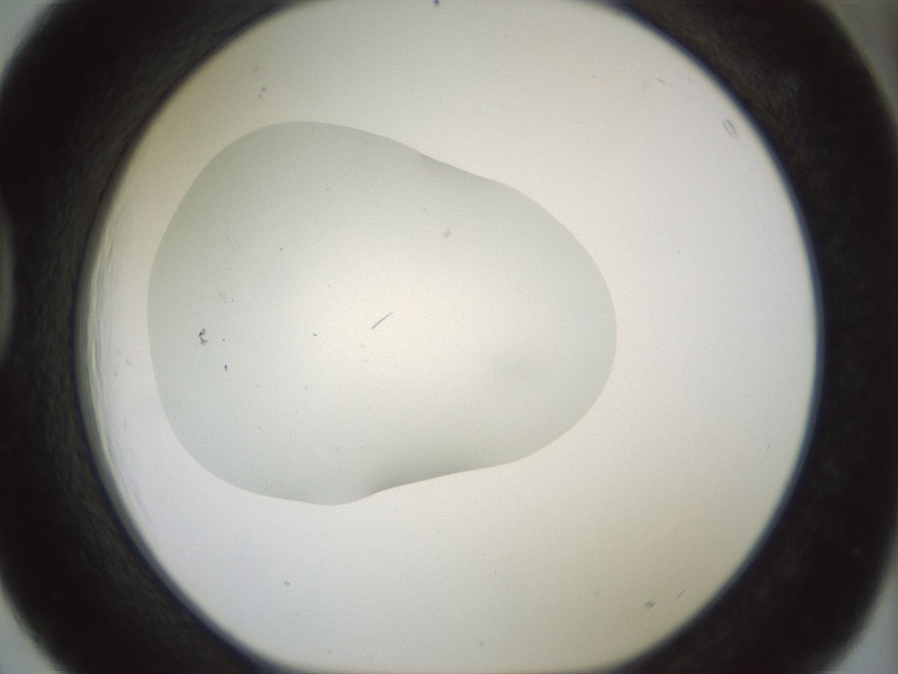 folderID318_plateID1318_batchID4363_wellNum39_profileID1_d1_r79102_ef.jpg