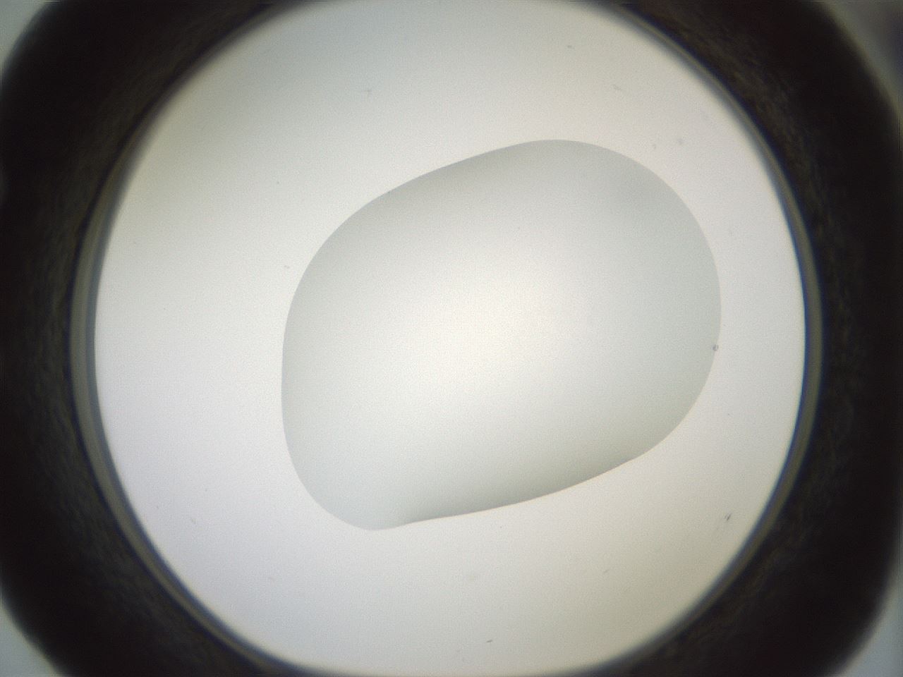 folderID318_plateID1318_batchID4363_wellNum52_profileID1_d1_r79115_ef.jpg