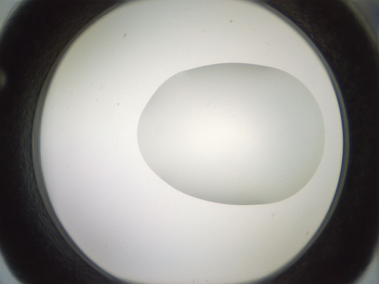 folderID318_plateID1318_batchID4363_wellNum62_profileID1_d1_r79125_ef.jpg
