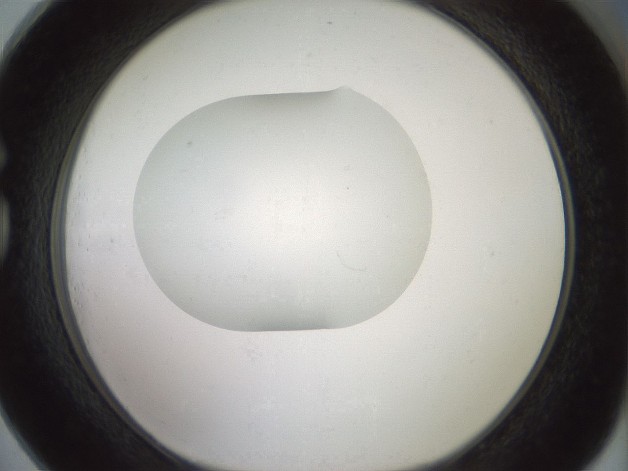 folderID318_plateID1318_batchID4363_wellNum73_profileID1_d1_r79136_ef.jpg