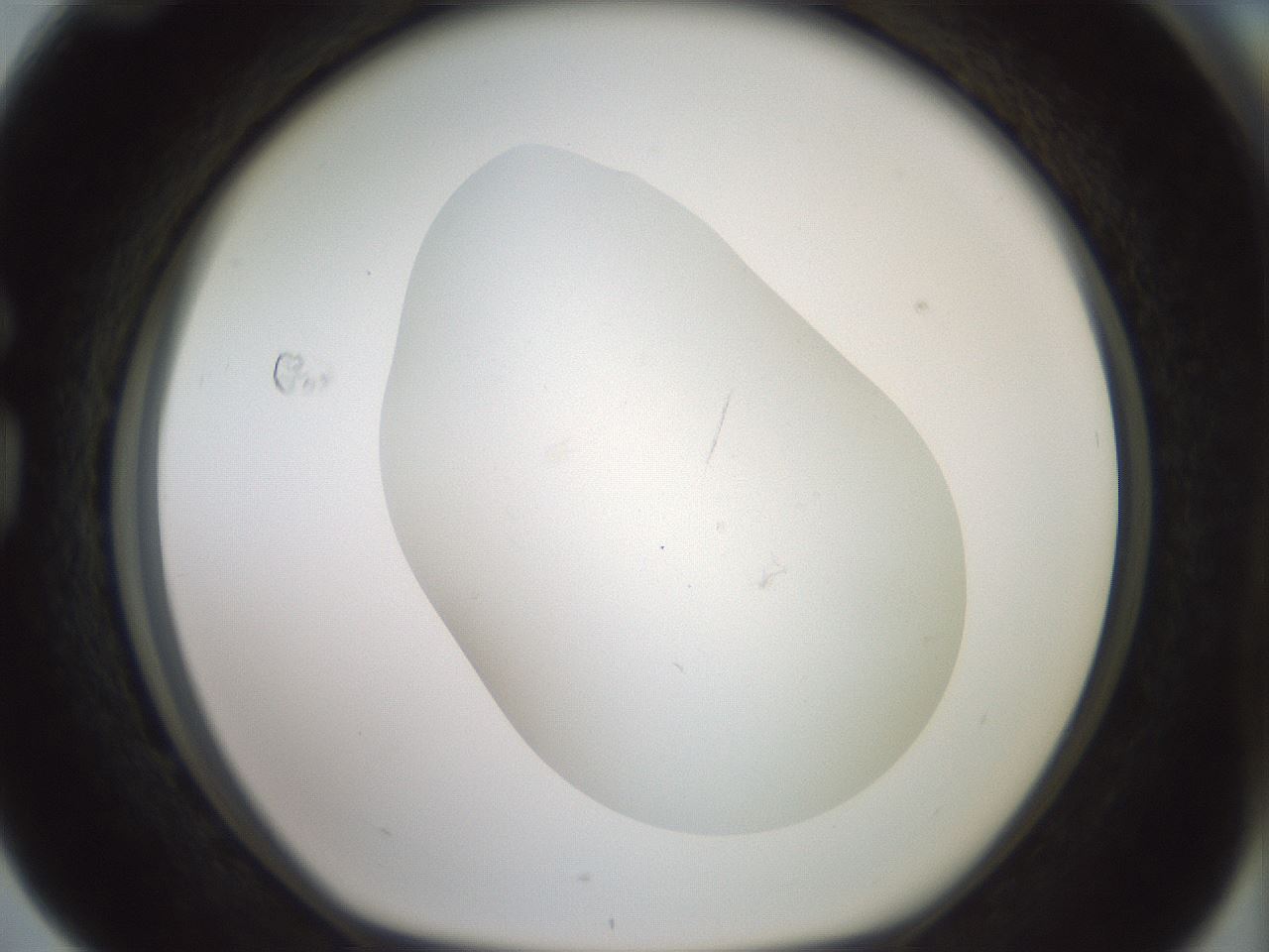 folderID318_plateID1318_batchID4363_wellNum76_profileID1_d1_r79139_ef.jpg