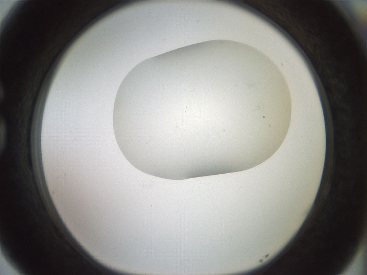 folderID318_plateID1318_batchID4363_wellNum77_profileID1_d1_r79140_ef.jpg