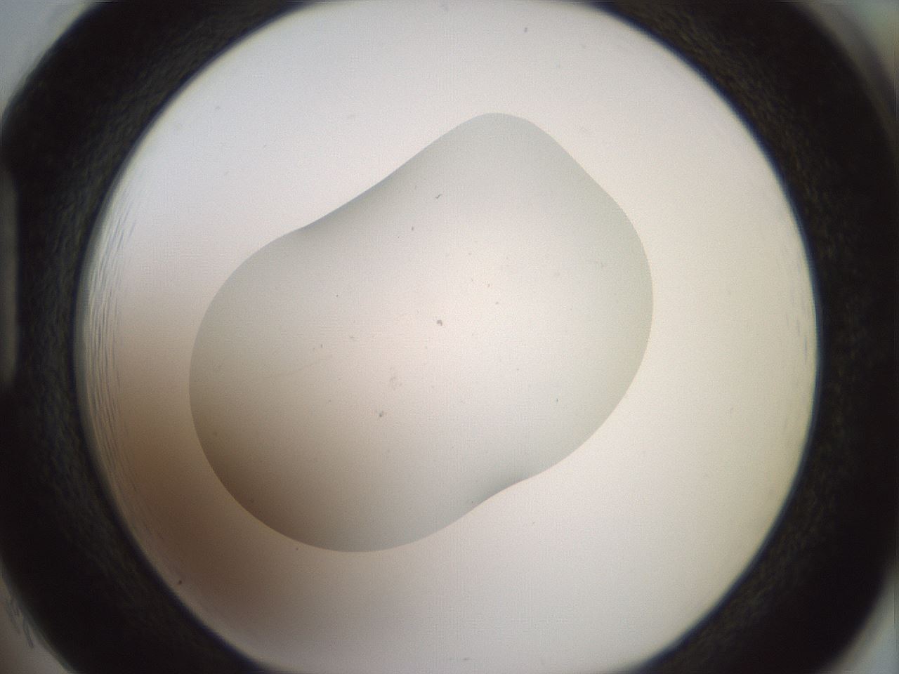 folderID318_plateID1318_batchID4363_wellNum85_profileID1_d1_r79148_ef.jpg