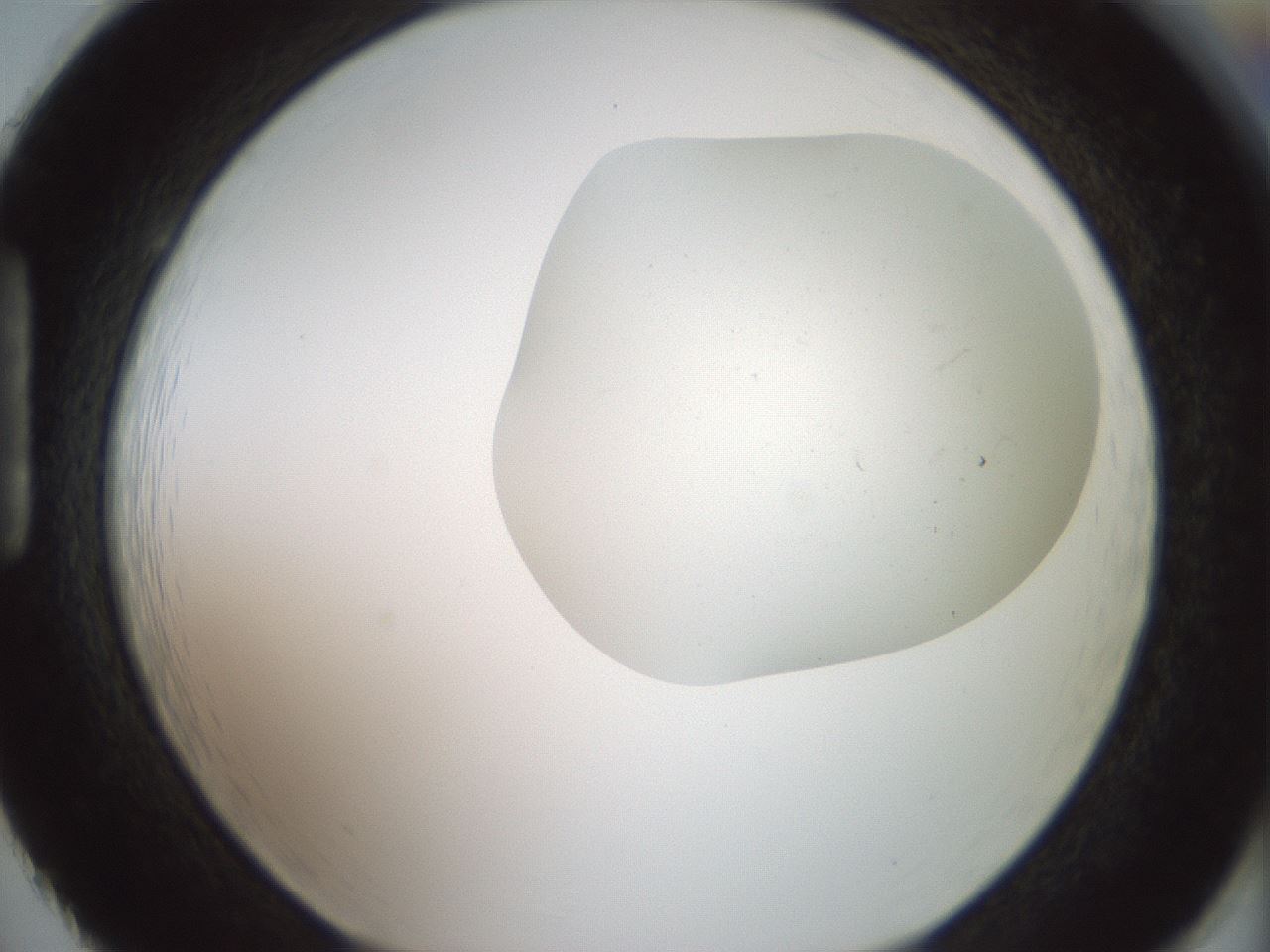 folderID318_plateID1318_batchID4363_wellNum86_profileID1_d1_r79149_ef.jpg