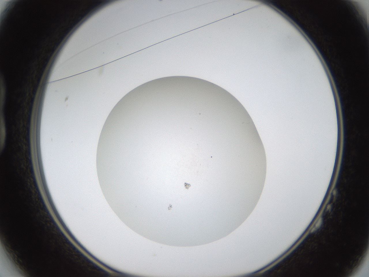 folderID319_plateID1319_batchID4362_wellNum14_profileID1_d1_r78981_ef.jpg