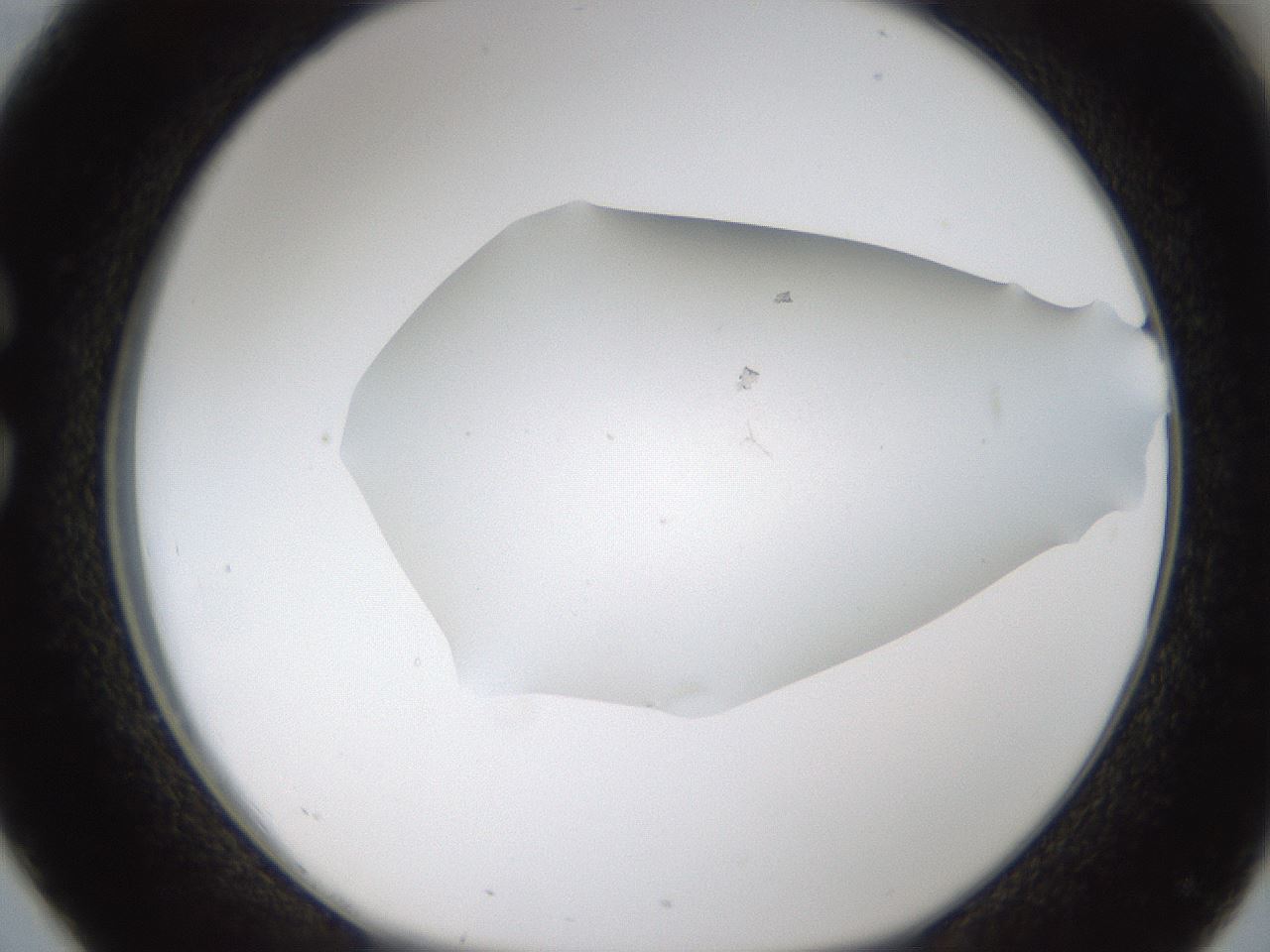 folderID319_plateID1319_batchID4362_wellNum26_profileID1_d1_r78993_ef.jpg