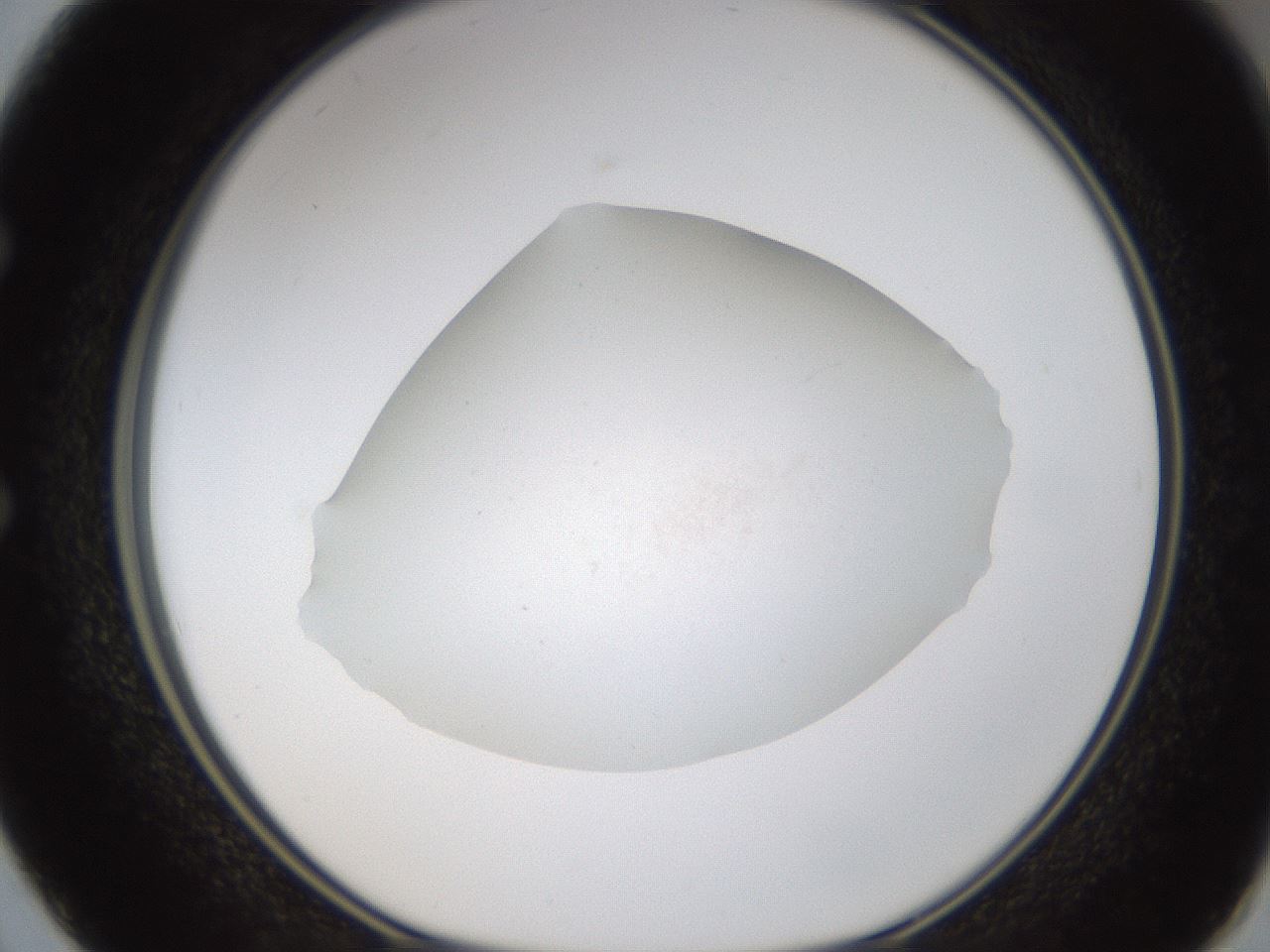 folderID319_plateID1319_batchID4362_wellNum50_profileID1_d1_r79017_ef.jpg