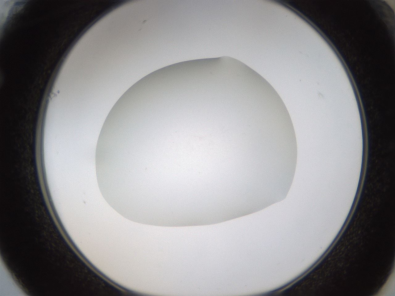 folderID319_plateID1319_batchID4362_wellNum61_profileID1_d1_r79028_ef.jpg