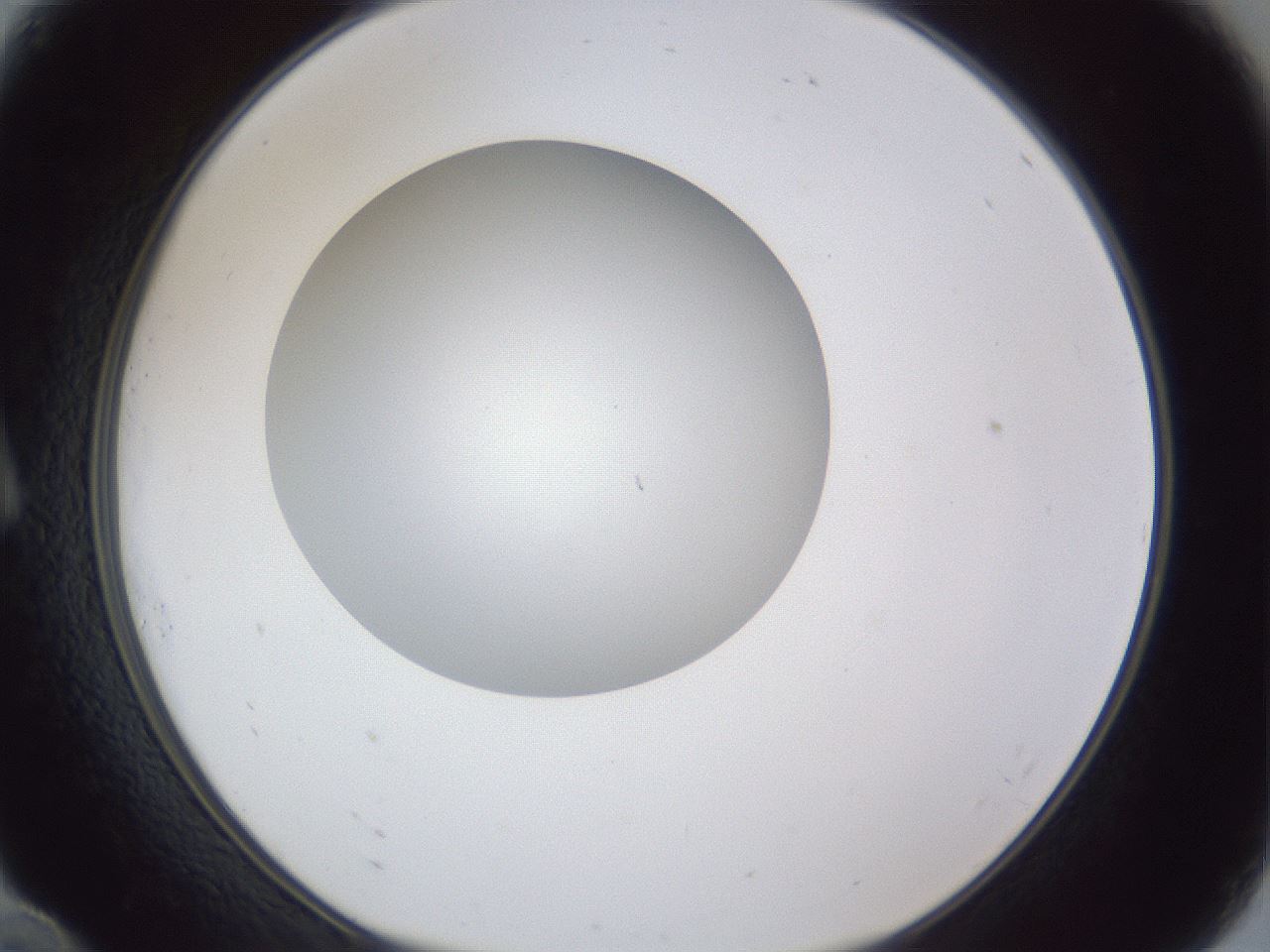 folderID31_plateID1031_batchID1982_wellNum10_profileID1_d1_r44342_ef.jpg