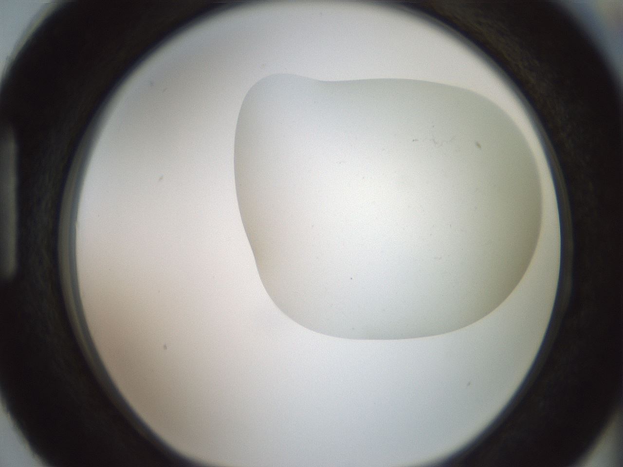 folderID318_plateID1318_batchID4363_wellNum87_profileID1_d1_r79150_ef.jpg