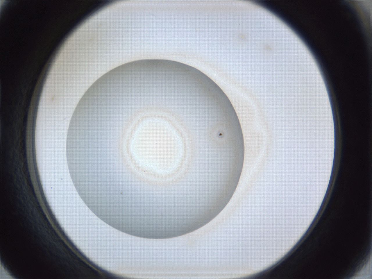 folderID31_plateID1031_batchID1982_wellNum17_profileID1_d1_r44356_ef.jpg