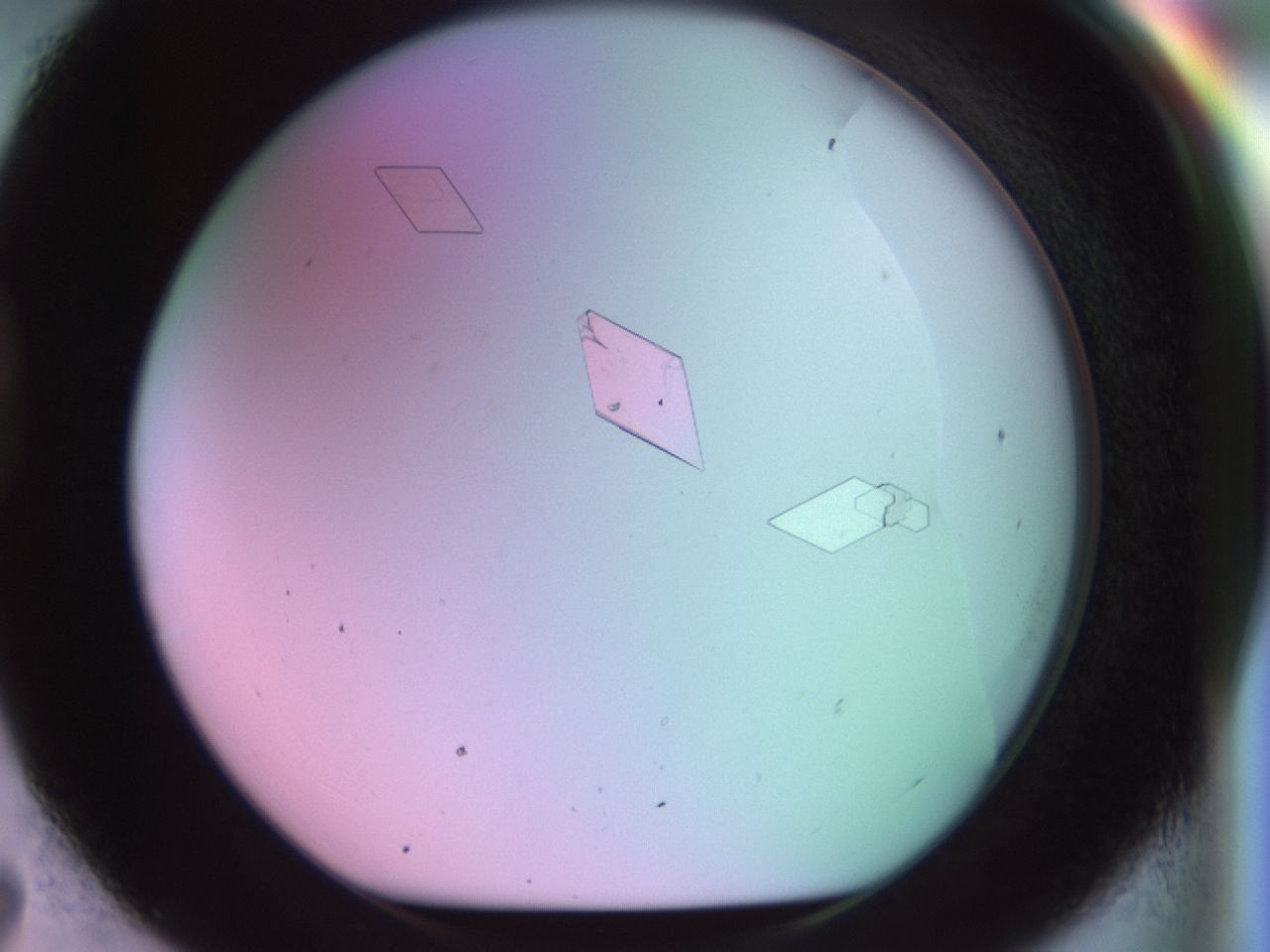 02ke_D7_ImagerDefaults_9.jpg