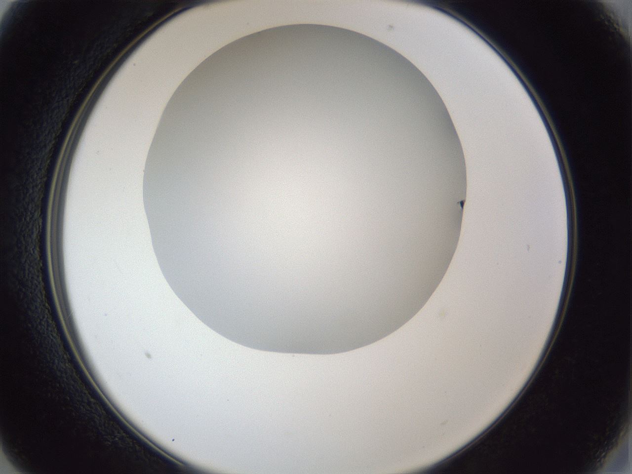 folderID31_plateID1031_batchID1982_wellNum13_profileID1_d2_r44349_ef.jpg
